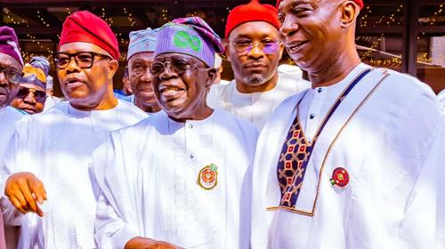 Tinubu supports creation of Anioma State  —  Ned Nwoko