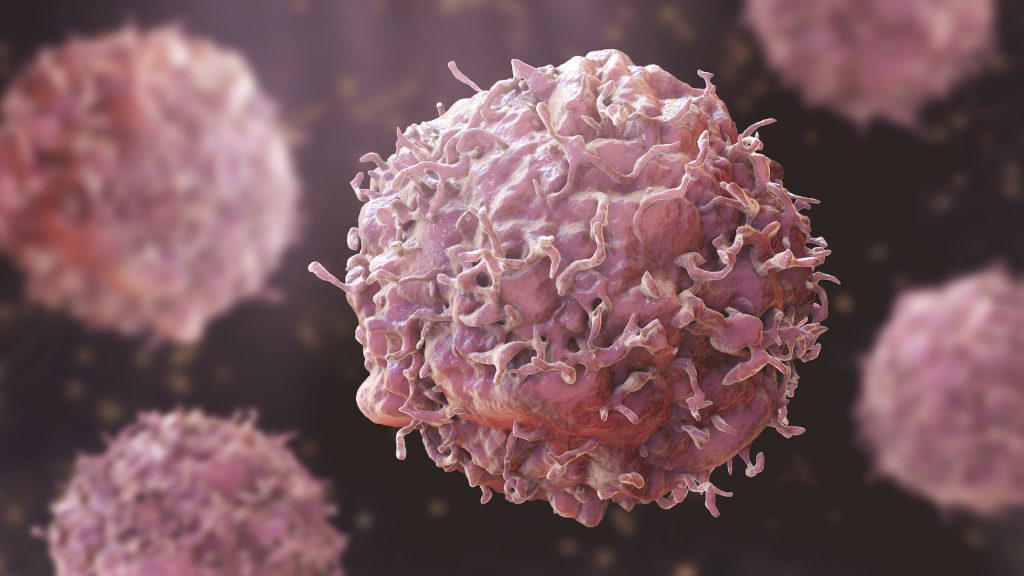 Study uncovers weapon against immune system in cancer patients