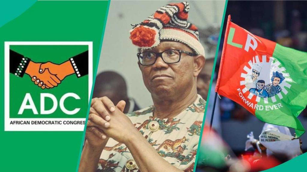 Peter Obi and the ADC: Is the honeymoon already over?