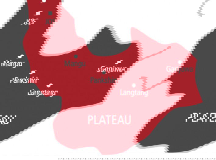 Troops arrest suspected gunrunner, recover arms in Plateau 