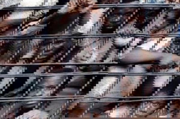 Ogun Chief Judge frees 287 inmates in 2025