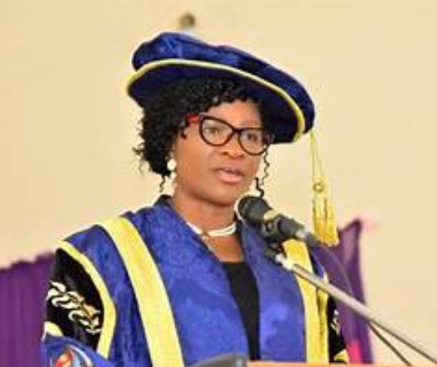 Decline in varsity’s infrastructure caused by nations economic downturn – FUTA VC
