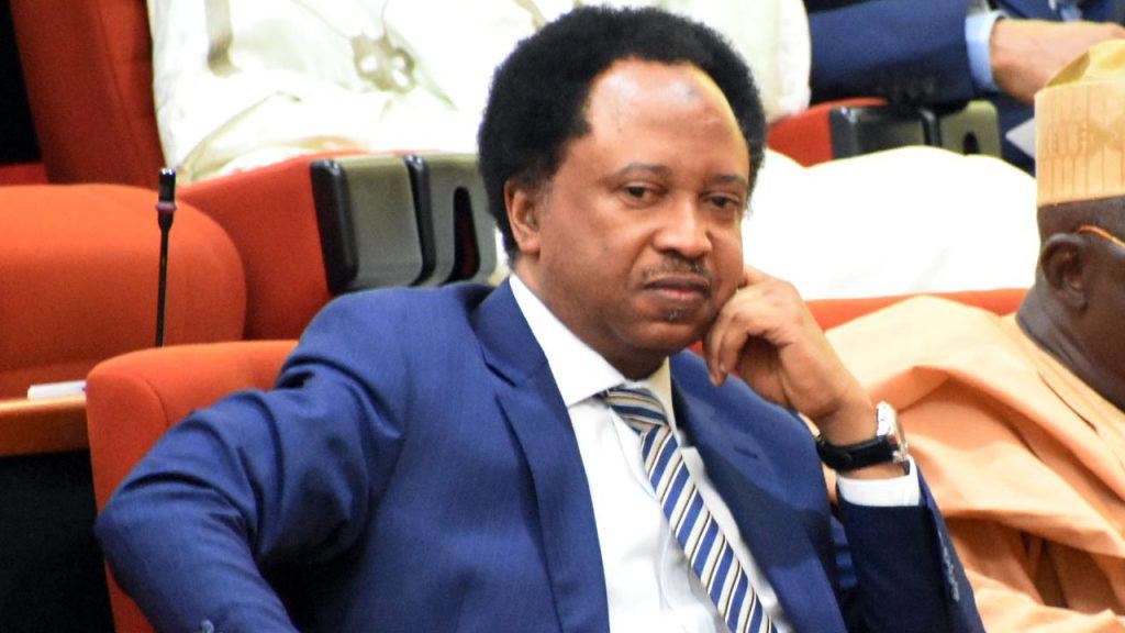 US travel ban: Stay back and build your country —  Shehu Sani advises Nigerians