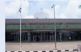 Bird strike grounds flight, triggers passenger riot at Abuja Airport