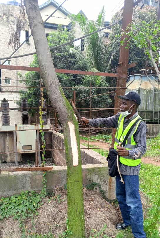 Ogijo lead poisoning: Ogun suspends three environmental firms over negligence