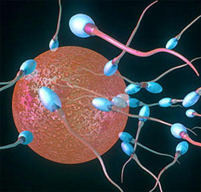 A man’s lifestyle can affect quality of his sperm